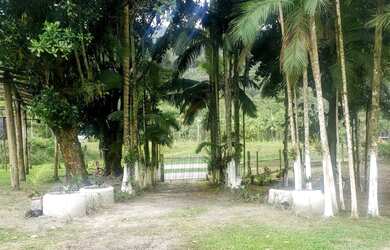 Imagem: A chácara possui 7125m² de Área e está localizado em Alexandra