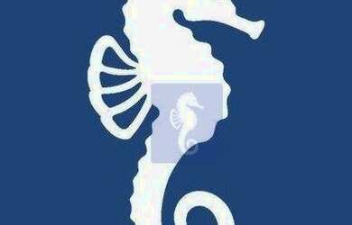 Imagem 10: Terreno à venda, 250 m² por R$ 250.000,00 - Reserva Imperial - Ribeirão...