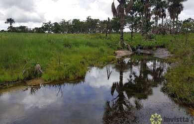 Imagem 3: Fazenda à venda, 1050 Ha - Zona Rural - Rio Sono/TO