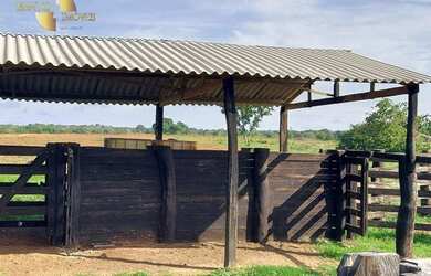 Imagem 2: Fazenda 4 km BR 070 à venda, 9000000 m² por R$ 12.600.000 - Zona Rural...