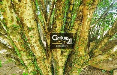 Imagem 14: Chácara com 2 dormitórios, 5000 m² - venda por R$ 1.980.000,00 ou aluguel...