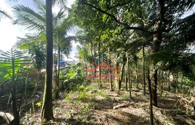 Imagem 1: Terreno à venda, 520 m² por R$ 70.000,00 - Conjunto Habitacional Santa...