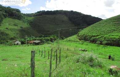 Imagem: A fazenda possui 330000m² de Área e está localizado em Pedro
