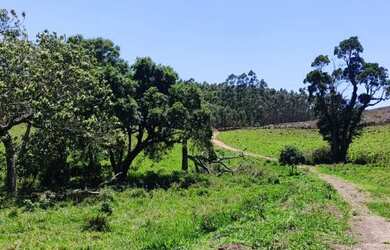 Imagem 1: 5000m² 30,000!!!