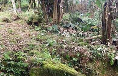 Imagem: O terreno possui 390m² de Área, Piscina e está localizado