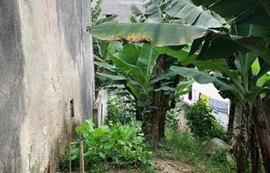 Imagem 2: Terreno à venda, 125 m² por R$ 80.000,00 - Jardim Pérola I - São Paulo/SP