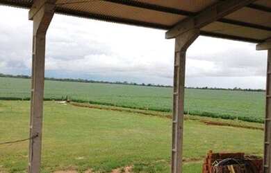 Imagem 6: Fazenda em Primavera do Leste à venda, 3300000 m² por R$ 12.500.000...