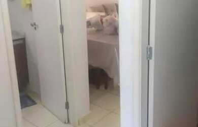 Imagem 4: CASA CONDOMINIO FEIRA DE SANTANA SIM