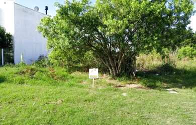 Imagem: O terreno possui 10m² de Área e está localizado em Laranjal