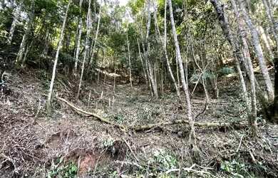 Imagem 7: Terreno com 5.115 m² à venda em Suzano - SP por R$ 169.000,00