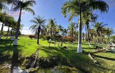 Imagem 15: Imóvel Rural com estrutura completa - 15 km de Montes Claros