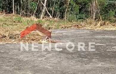 Imagem: O terreno possui 75m² de Área e está localizado em Juquitiba