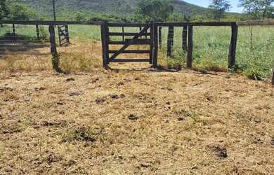 Imagem 10: Fazenda de 114,7 hectares toda plana, toda cercada no arame liso com Rio...