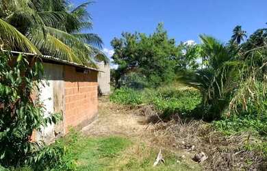 Imagem 3: Terreno incrível em Tatuamunha - Ótimo investimento