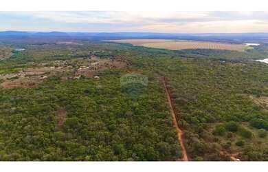 Imagem 9: Terra à venda 30 Hectares Região da Jesualda Paracatu/Unaí MG