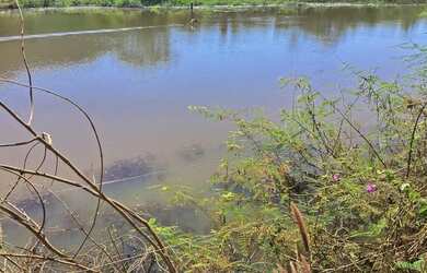 Imagem: A fazenda possui 1.147.000m² de Área e está localizado em