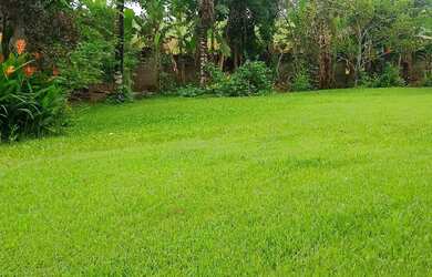 Imagem 7: lOTES.A VENDA. T 22.l. 60m² de Área