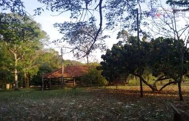 Imagem 4: Chácara residencial à venda, Zona Rural, São José do Rio Preto