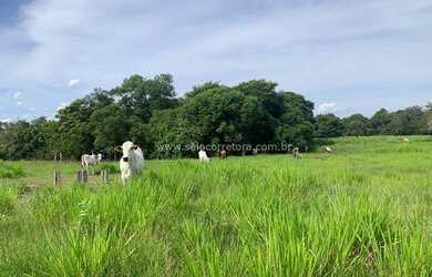 Imagem 7: Excelente Fazenda no Muni. de São Félix Do Araguaia e parte no Muni. de Luciara - MT