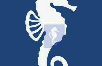 Imagem 3: Terreno à venda, 420 m² por R$ 250.000,00 - Parque Industrial Lagoinha...