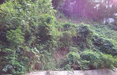 Imagem 5: Terreno no bairro São Conrado Vista Montanha Mar Verde