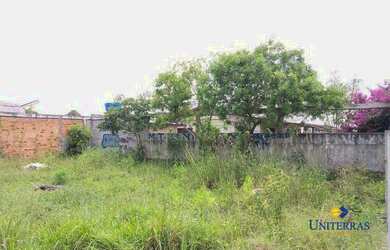 Imagem 9: Terreno à venda, 241 m² por R$ 160.000,00 - São Gabriel - Colombo/PR