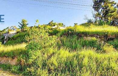 Imagem 15: Terreno vitoria regia. 10.938.400m² de Área