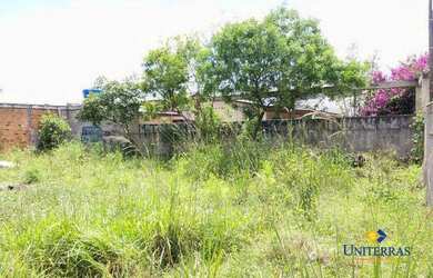 Imagem 7: Terreno à venda, 241 m² por R$ 160.000,00 - São Gabriel - Colombo/PR