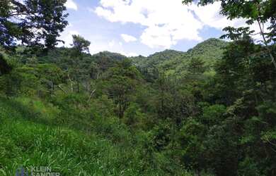 Imagem 15: Fazenda única à venda, O Paraíso das Fontes, 1074000 m² por R$ 4.500.000...