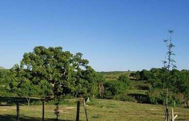 Imagem 8: FAZENDA EM CAMAPUA 15 MIL O HA