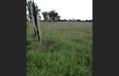 Imagem: Fazenda 120 alqueires Cacaulândia