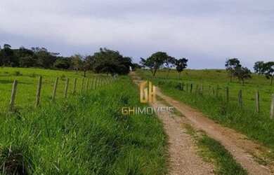 Imagem 10: Sítio à venda, 280784 m² por R$ 1.350.000,00 - Vila República - Goiás/GO