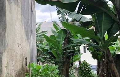 Imagem 3: Terreno à venda, 125 m² por R$ 80.000,00 - Jardim Pérola I - São Paulo/SP