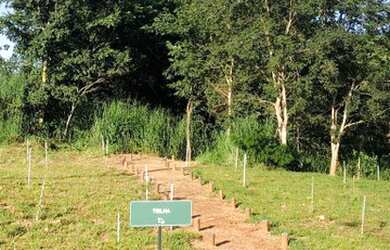 Imagem 16: Jardins Capri. 256m² de Área