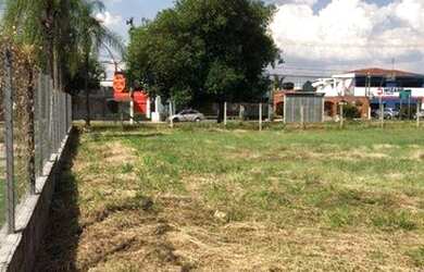 Imagem 4: Terreno, 1450 m² - venda por R$ 5.800.000,00 ou aluguel por R$ 26.000,00/mês - Chácara Mac