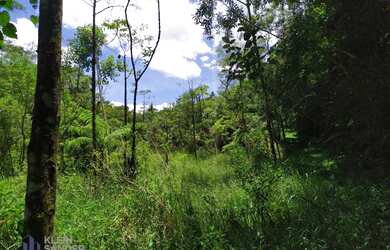 Imagem 16: Fazenda única à venda, O Paraíso das Fontes, 1074000 m² por R$ 4.500.000...