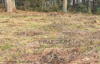 Imagem 8: Terreno à venda, 1001 m² por R$ 500.000,00 - Vila Fuck - Piraquara/PR