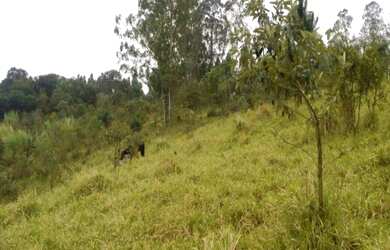 Imagem 8: ÁREA DE 22855M2 JUNDIAI NO BAIRRO DO JUNDIAI MIRIM