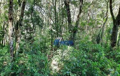 Imagem 12: Área Urbana 6.030m2 Almirante Tamandaré