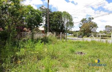 Imagem 6: Terreno à venda, 241 m² por R$ 160.000,00 - São Gabriel - Colombo/PR