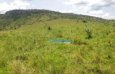 Imagem 14: Fazenda a venda - área real