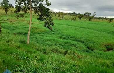 Imagem: A fazenda possui 37m² de Área e está localizado em Jaru