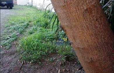 Imagem 4: Terreno à venda, 420 m² por R$ 2.730.000,00 - Icaraí - Niterói/RJ