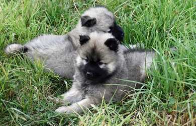 Imagem: O depósito está localizado em Centro, Bragança Paulista à