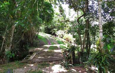 Imagem 6: Fazenda única à venda, O Paraíso das Fontes, 1074000 m² por R$ 4.500.000...