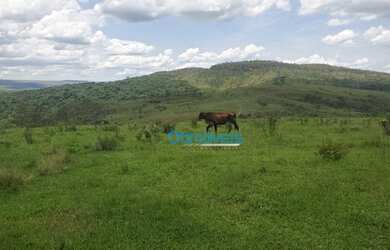 Imagem 1: Fazenda a venda - área real