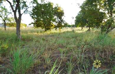 Imagem: O terreno possui 2.848m² de Área e está localizado em Plano