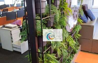 Imagem 5: Conjunto para alugar, 1151 m² - Bela Vista - São Paulo/SP