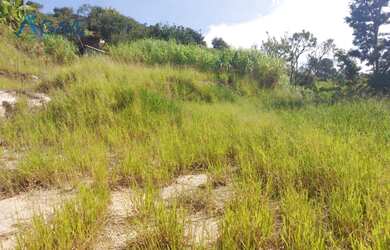 Imagem 13: Terreno vitoria regia. 10.938.400m² de Área