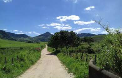 Imagem 15: 1875 Maravilhosa Fazenda De 200 Ha Com Lindo Casarão Antigo E Ótima...